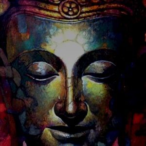 Meet your Posher, Luz